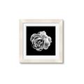 Picture of Black and White Rose _GroupedProduct_Square_Framed_Matted_