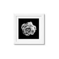 Picture of Black and White Rose _GroupedProduct_Square_Framed_Matted_