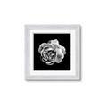 Picture of Black and White Rose _GroupedProduct_Square_Framed_Matted_
