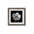 Picture of Black and White Rose _GroupedProduct_Square_Framed_Matted_