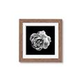 Picture of Black and White Rose _GroupedProduct_Square_Framed_Matted_