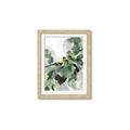 Picture of Birds in the Braches _GroupedProduct_Rectangle_Portrait_Framed_Matted_