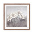 Picture of White Magnolias _GroupedProduct_Square_Framed_Matted_