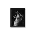 Picture of Yawning lion _GroupedProduct_Rectangle_Portrait_Photography _GroupedProduct_Rectangle_Portrait_Framed_Matted_