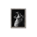 Picture of Yawning lion _GroupedProduct_Rectangle_Portrait_Photography _GroupedProduct_Rectangle_Portrait_Framed_Matted_