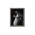 Picture of Yawning lion _GroupedProduct_Rectangle_Portrait_Photography _GroupedProduct_Rectangle_Portrait_Framed_Matted_