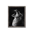 Picture of Yawning lion _GroupedProduct_Rectangle_Portrait_Photography _GroupedProduct_Rectangle_Portrait_Framed_Matted_