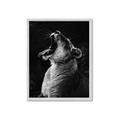 Picture of Yawning lion _GroupedProduct_Rectangle_Portrait_Photography _GroupedProduct_Rectangle_Portrait_Framed_Matted_