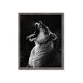 Picture of Yawning lion _GroupedProduct_Rectangle_Portrait_Photography _GroupedProduct_Rectangle_Portrait_Framed_Matted_