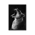Picture of Yawning lion _GroupedProduct_Rectangle_Portrait_Photography _GroupedProduct_Rectangle_Portrait_Framed_Matted_