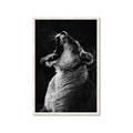 Picture of Yawning lion _GroupedProduct_Rectangle_Portrait_Photography _GroupedProduct_Rectangle_Portrait_Framed_Matted_