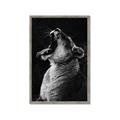 Picture of Yawning lion _GroupedProduct_Rectangle_Portrait_Photography _GroupedProduct_Rectangle_Portrait_Framed_Matted_