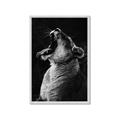 Picture of Yawning lion _GroupedProduct_Rectangle_Portrait_Photography _GroupedProduct_Rectangle_Portrait_Framed_Matted_