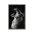 Picture of Yawning lion _GroupedProduct_Rectangle_Portrait_Photography _GroupedProduct_Rectangle_Portrait_Framed_Matted_