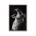 Picture of Yawning lion _GroupedProduct_Rectangle_Portrait_Photography _GroupedProduct_Rectangle_Portrait_Framed_Matted_