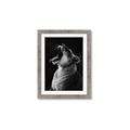 Picture of Yawning lion _GroupedProduct_Rectangle_Portrait_Photography _GroupedProduct_Rectangle_Portrait_Framed_Matted_