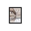 Picture of Elk in the Wild _GroupedProduct_Rectangle_Portrait_Photography _GroupedProduct_Rectangle_Portrait_Framed_Matted_