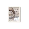 Picture of Elk in the Wild _GroupedProduct_Rectangle_Portrait_Photography _GroupedProduct_Rectangle_Portrait_Framed_Matted_