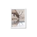 Picture of Elk in the Wild _GroupedProduct_Rectangle_Portrait_Photography _GroupedProduct_Rectangle_Portrait_Framed_Matted_