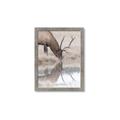 Picture of Elk in the Wild _GroupedProduct_Rectangle_Portrait_Photography _GroupedProduct_Rectangle_Portrait_Framed_Matted_