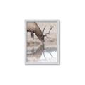 Picture of Elk in the Wild _GroupedProduct_Rectangle_Portrait_Photography _GroupedProduct_Rectangle_Portrait_Framed_Matted_