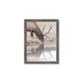 Picture of Elk in the Wild _GroupedProduct_Rectangle_Portrait_Photography _GroupedProduct_Rectangle_Portrait_Framed_Matted_
