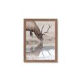 Picture of Elk in the Wild _GroupedProduct_Rectangle_Portrait_Photography _GroupedProduct_Rectangle_Portrait_Framed_Matted_