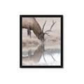 Picture of Elk in the Wild _GroupedProduct_Rectangle_Portrait_Photography _GroupedProduct_Rectangle_Portrait_Framed_Matted_