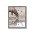 Picture of Elk in the Wild _GroupedProduct_Rectangle_Portrait_Photography _GroupedProduct_Rectangle_Portrait_Framed_Matted_