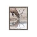 Picture of Elk in the Wild _GroupedProduct_Rectangle_Portrait_Photography _GroupedProduct_Rectangle_Portrait_Framed_Matted_
