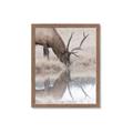 Picture of Elk in the Wild _GroupedProduct_Rectangle_Portrait_Photography _GroupedProduct_Rectangle_Portrait_Framed_Matted_