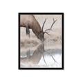 Picture of Elk in the Wild _GroupedProduct_Rectangle_Portrait_Photography _GroupedProduct_Rectangle_Portrait_Framed_Matted_