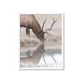 Picture of Elk in the Wild _GroupedProduct_Rectangle_Portrait_Photography _GroupedProduct_Rectangle_Portrait_Framed_Matted_