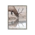 Picture of Elk in the Wild _GroupedProduct_Rectangle_Portrait_Photography _GroupedProduct_Rectangle_Portrait_Framed_Matted_