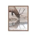 Picture of Elk in the Wild _GroupedProduct_Rectangle_Portrait_Photography _GroupedProduct_Rectangle_Portrait_Framed_Matted_