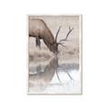 Picture of Elk in the Wild _GroupedProduct_Rectangle_Portrait_Photography _GroupedProduct_Rectangle_Portrait_Framed_Matted_