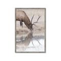 Picture of Elk in the Wild _GroupedProduct_Rectangle_Portrait_Photography _GroupedProduct_Rectangle_Portrait_Framed_Matted_