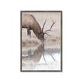 Picture of Elk in the Wild _GroupedProduct_Rectangle_Portrait_Photography _GroupedProduct_Rectangle_Portrait_Framed_Matted_