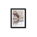 Picture of Elk in the Wild _GroupedProduct_Rectangle_Portrait_Photography _GroupedProduct_Rectangle_Portrait_Framed_Matted_