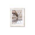 Picture of Elk in the Wild _GroupedProduct_Rectangle_Portrait_Photography _GroupedProduct_Rectangle_Portrait_Framed_Matted_