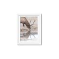 Picture of Elk in the Wild _GroupedProduct_Rectangle_Portrait_Photography _GroupedProduct_Rectangle_Portrait_Framed_Matted_