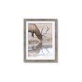 Picture of Elk in the Wild _GroupedProduct_Rectangle_Portrait_Photography _GroupedProduct_Rectangle_Portrait_Framed_Matted_