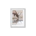 Picture of Elk in the Wild _GroupedProduct_Rectangle_Portrait_Photography _GroupedProduct_Rectangle_Portrait_Framed_Matted_