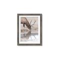 Picture of Elk in the Wild _GroupedProduct_Rectangle_Portrait_Photography _GroupedProduct_Rectangle_Portrait_Framed_Matted_