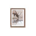 Picture of Elk in the Wild _GroupedProduct_Rectangle_Portrait_Photography _GroupedProduct_Rectangle_Portrait_Framed_Matted_