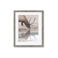 Picture of Elk in the Wild _GroupedProduct_Rectangle_Portrait_Photography _GroupedProduct_Rectangle_Portrait_Framed_Matted_