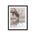 Picture of Elk in the Wild _GroupedProduct_Rectangle_Portrait_Photography _GroupedProduct_Rectangle_Portrait_Framed_Matted_