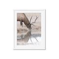 Picture of Elk in the Wild _GroupedProduct_Rectangle_Portrait_Photography _GroupedProduct_Rectangle_Portrait_Framed_Matted_