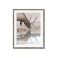 Picture of Elk in the Wild _GroupedProduct_Rectangle_Portrait_Photography _GroupedProduct_Rectangle_Portrait_Framed_Matted_