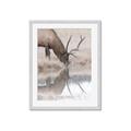 Picture of Elk in the Wild _GroupedProduct_Rectangle_Portrait_Photography _GroupedProduct_Rectangle_Portrait_Framed_Matted_